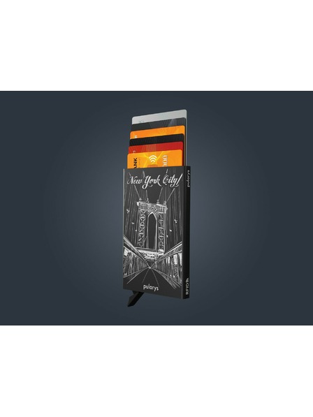 Pularys Etui za dokumente Pularys Brooklyn črno aluminij 194110801