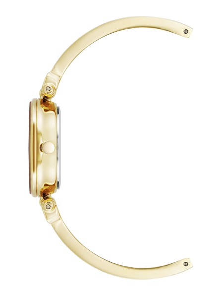 Anne Klein Ženske okrogle ure Anne Klein AK/5140CHGB