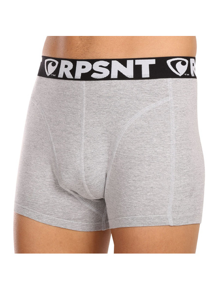 Represent Moške kratke hlače EXCLUSIVE SPORT GREY Represent
