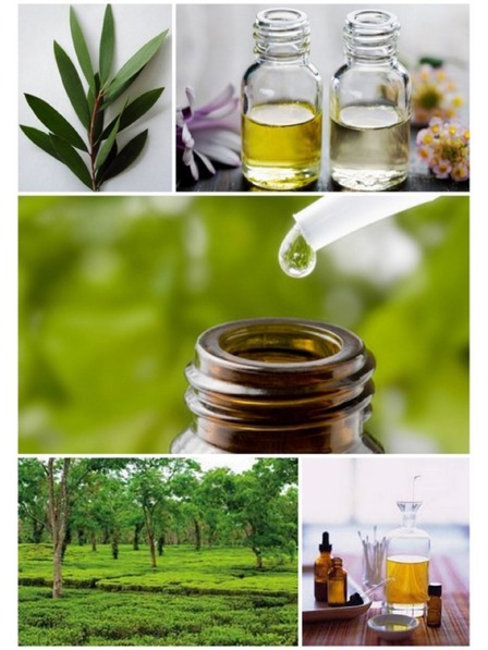 Caribbean Sun Čistilna sol za morske gobe Caribbean Sun Tea Tree 400 g
