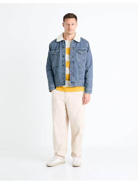 Celio Prugasto majico Fecond