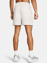 Under Armour Moške kratke hlače Under Armour Curry Woven Short
