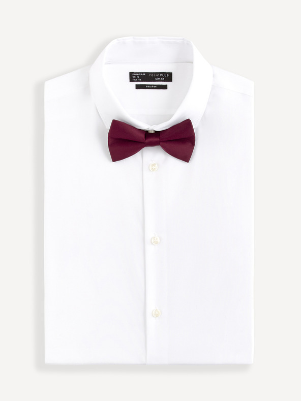 Celio Bibow2 Metuljček