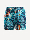 Celio Modre moške kopalke Celio Ginortrop