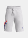 Under Armour Fantovske kratke hlače Under Armour UA Project Rock Terry Shorts