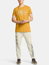 Under Armour Moške športne hlače Under Armour Pjt Rck HWT Pant Tools-BRN