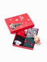 Edoti Moške nogavice X-mas box mix 4-pack EDOTI