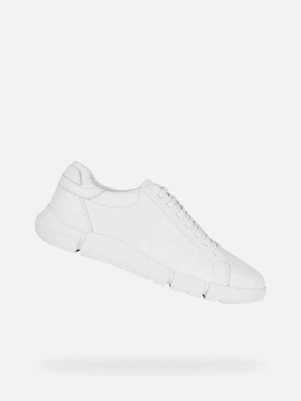 Geox Bele moške superge Geox Adacter