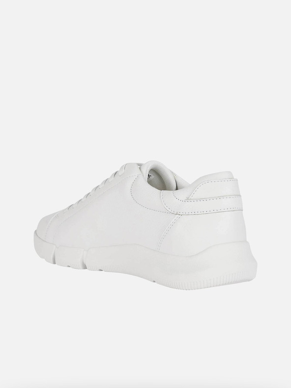 Geox Bele moške superge Geox Adacter