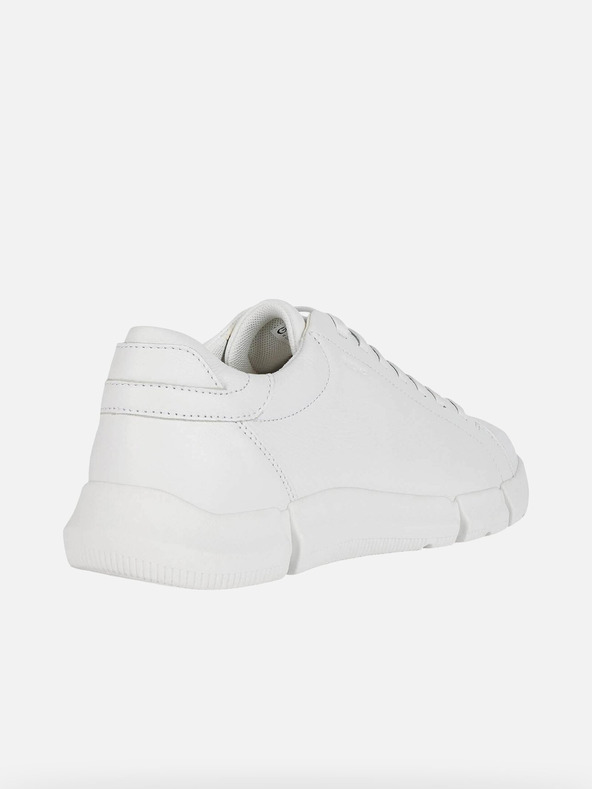 Geox Bele moške superge Geox Adacter