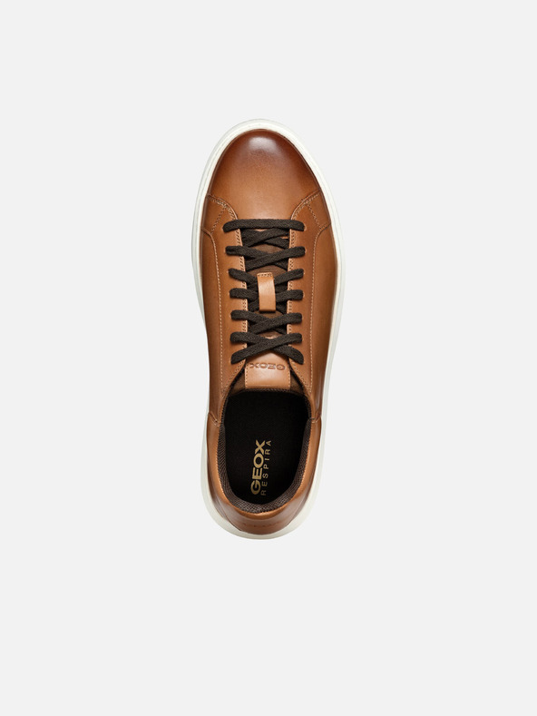 Geox Rjavi moški čevlji Geox Deiven