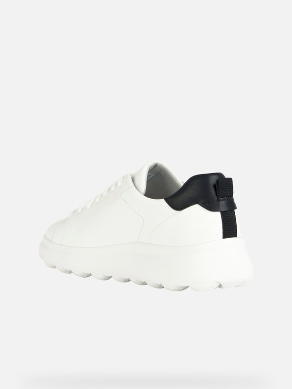 Geox Bele moške superge Geox Spherica EC4.1