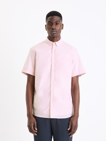 Celio Srajca Gaopurmc Celio