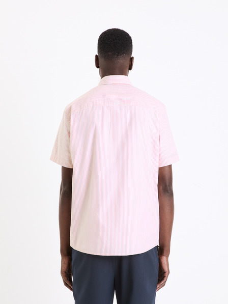 Celio Srajca Gaopurmc Celio