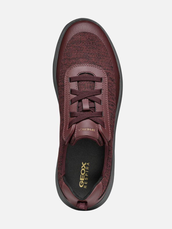Geox Moški športni copati Geox Spherica v bordo barvi