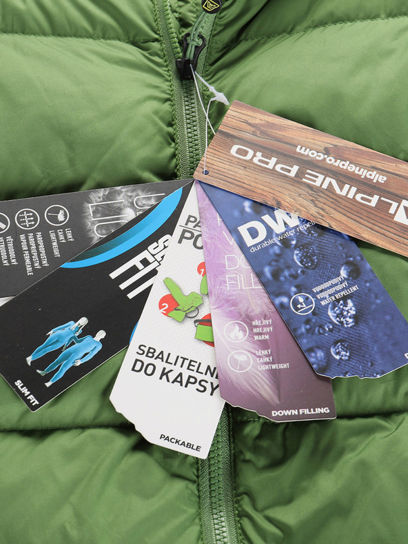 ALPINE PRO Moška zimska puhovka z dwr ALPINE PRO ROGIT treetop