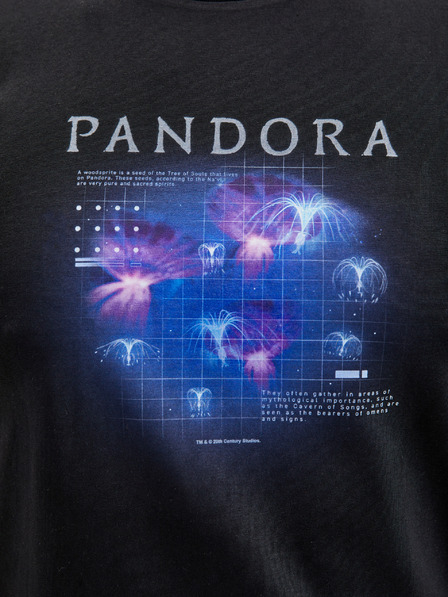 ZOOT.Fan Diagram Avatar 1 ZOOT. FAN Twentieth Century Fox - moška majica