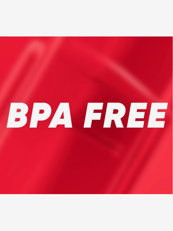 BAAGL  Rdeča škatla za malico teribear Baagl