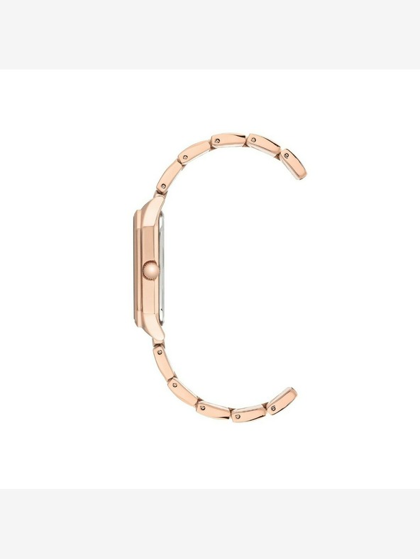 Anne Klein Ženske ure Anne Klein