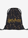 BAAGL  Modra Baagl Harry Potter Harry Potter Pobert's Planner