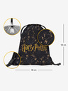 BAAGL  Modra Baagl Harry Potter Harry Potter Pobert's Planner