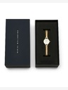 Daniel Wellington Petite Mini 19 Evergold Ročna ura