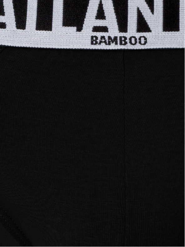 Atlantic Moške spodnjice iz bambusa ATLANTIC PREMIUM