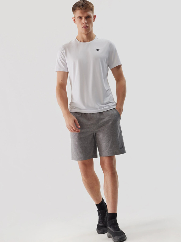 4F Moške športne kratke hlače za hitro sušenje 4F