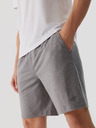 4F Moške športne kratke hlače za hitro sušenje 4F