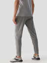 4F 4F Moške športne hlače s hitrim sušenjem
