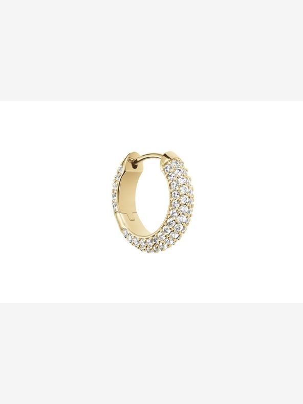 Daniel Wellington Ženski uhani Daniel Wellington z zlatimi jeklenimi krogi