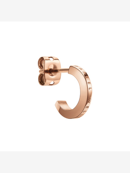 Daniel Wellington Jekleni uhani Daniel Wellington DW00400146