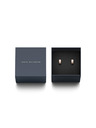 Daniel Wellington Daniel Wellington Jekleni uhani DW00400148