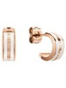 Daniel Wellington Daniel Wellington Jekleni uhani DW00400148