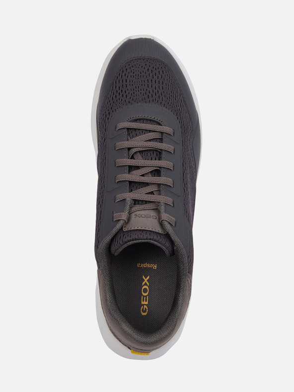 Geox Temno sive moške superge Geox Klaiver