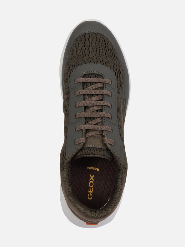 Geox Kaki moške superge Geox Klaiver