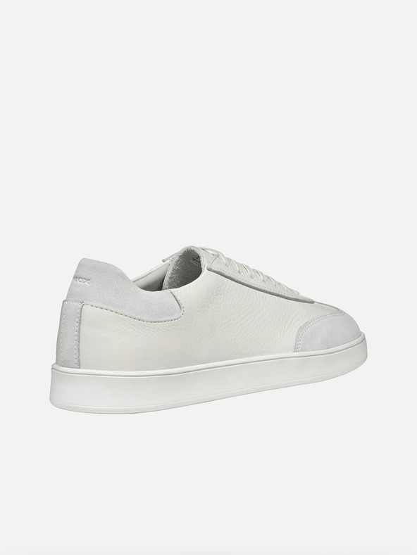 Geox Bele moške superge Geox Regio