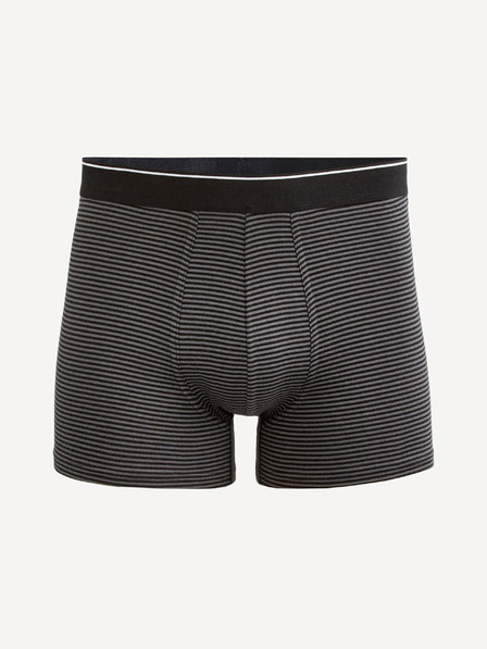 Celio Temno sive moške črtaste boksarice Celio