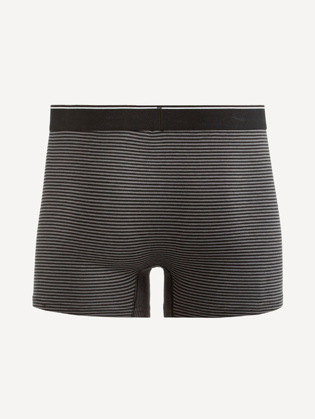 Celio Temno sive moške črtaste boksarice Celio