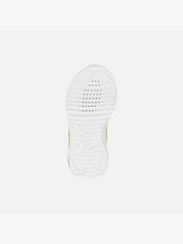 Geox Svetlo zelene deške superge Geox Assister