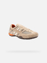 Geox Beige moške superge Geox Snake