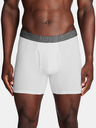 Under Armour Moške boksarice Under Armour M UA Perf Cotton 6in
