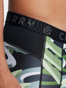 Under Armour Moške kratke hlače Under Armour UA Curry HG Prtd Shorts