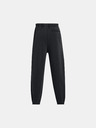 Under Armour Moške športne hlače Under Armour UA Icon HWT Flc Wash OS Pant