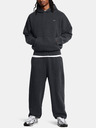 Under Armour Moške športne hlače Under Armour UA Icon HWT Flc Wash OS Pant