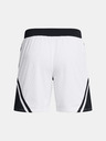 Under Armour Moške kratke hlače Under Armour Curry Mesh Short 4