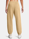 Under Armour Ženske hlače  Under Armour UA Icon HWT Flc OS Pant-BRN