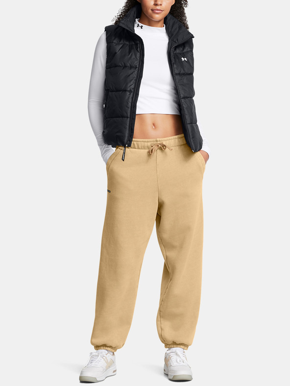 Under Armour Ženske hlače  Under Armour UA Icon HWT Flc OS Pant-BRN