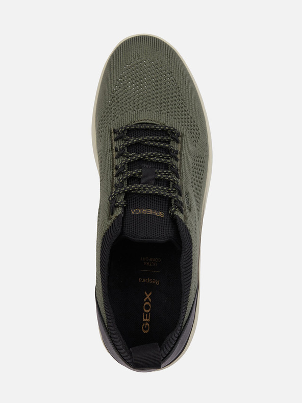 Geox Temno zelena Moški športni copati Geox Spherica