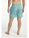Tenson Moške kopalne hlače TENSON turkizne